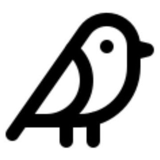 BirdyChat.com logo