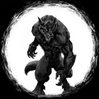 Black Wolf Stats logo