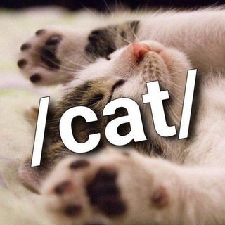 /cat/ ~ meow logo
