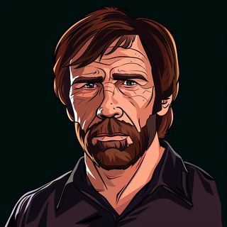 Chat Norris 🤠 logo