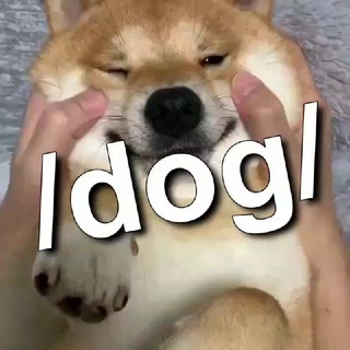 /dog/ ~ woof logo