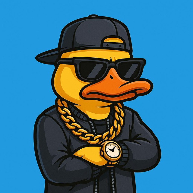 Ducky Stars logo