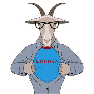 Egorka Balance logo
