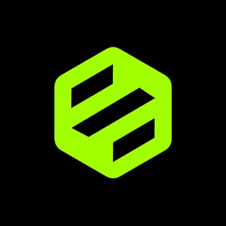 Enigmatus logo