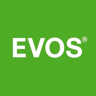 EVOS Доставка logo