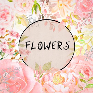 🌸 FLOWERS темы шрифты языки logo