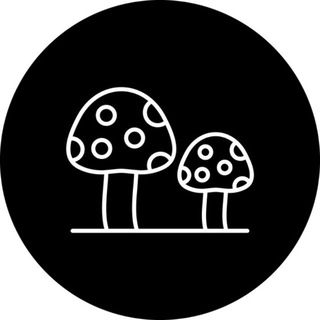 Грибной бот 🍄 logo