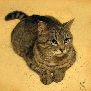 Эрмитажные коты - Hermicats logo
