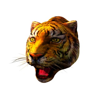 HitCars Обратная связь logo