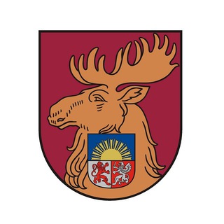 Jelgavas Robots logo