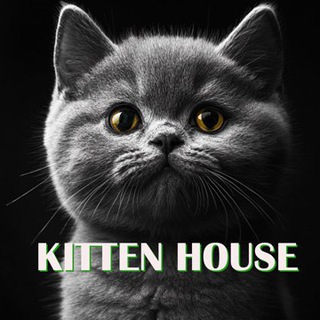 Kitten House Crypto logo