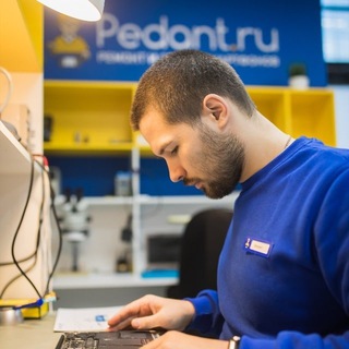 Pedant.ru logo