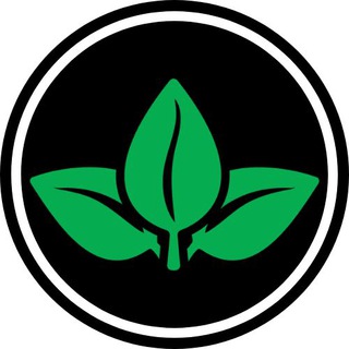 Plant Identifier Bot 🌵 logo