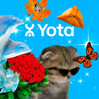 Поздравлятор logo