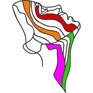 Skinseption_bot logo