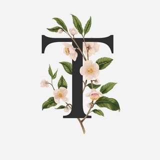 Красивые шрифты 📝 | Бот шрифтов logo