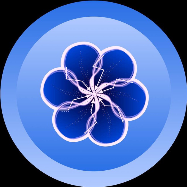Voyager logo